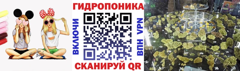 Лсд 25 Мензелинск