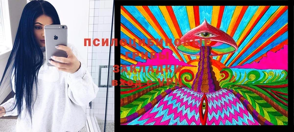 apvp Козловка