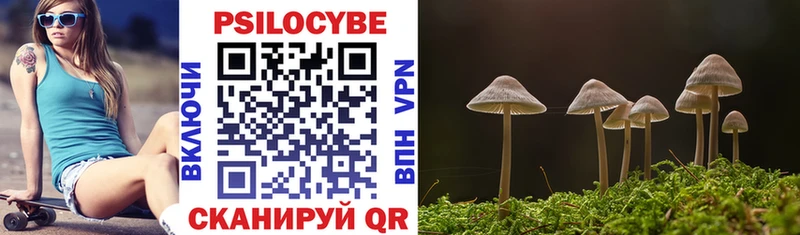 Галлюциногенные грибы Psilocybine cubensis Мензелинск