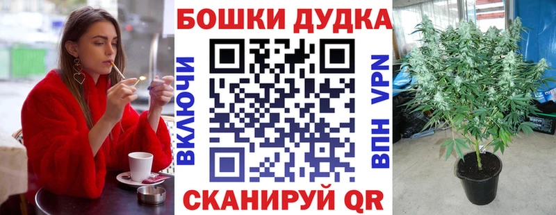 Купить закладки  Мензелинск  Каннабис SATIVA & INDICA 